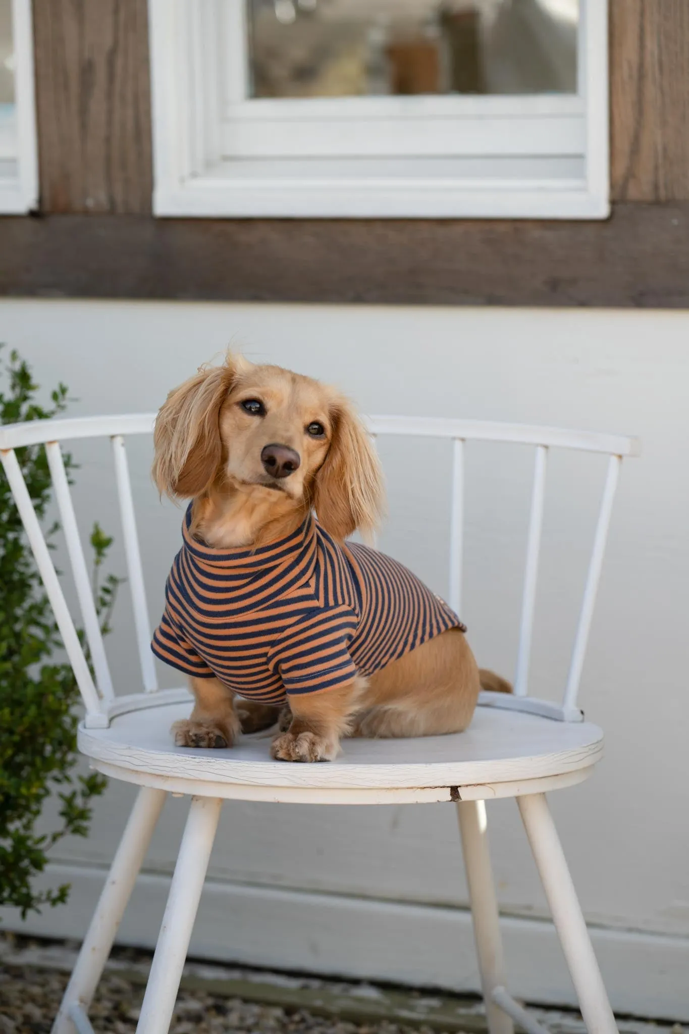 eloise turtleneck sweater - navy