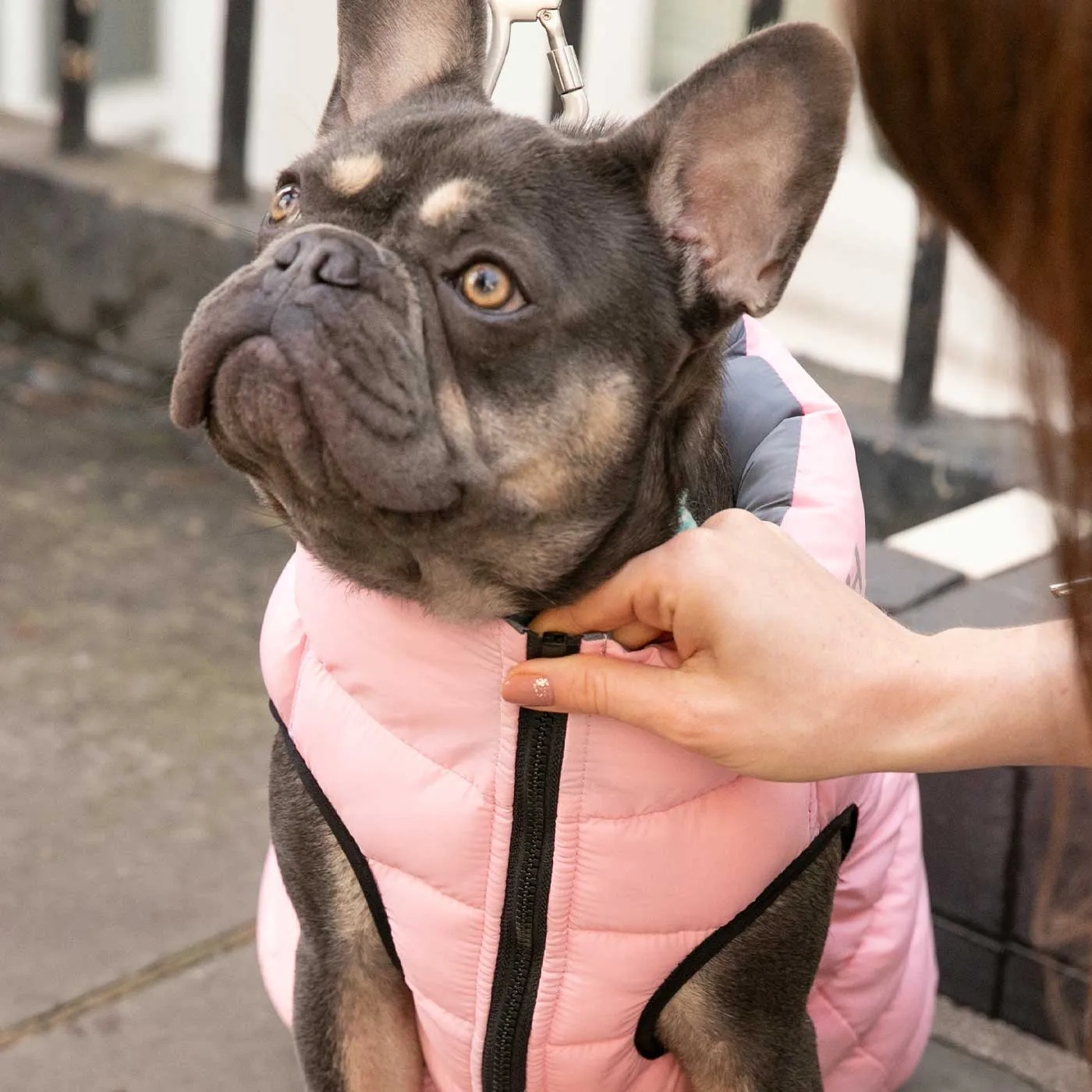 Hugo & Hudson Reversible Light Pink & Grey Puffer Jacket