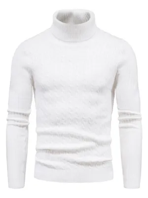 Men’s Solid Color Rolled Turtleneck Long Sleeve Rib Texture Sweater